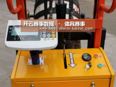 开云官网入口案例展示三(图1)