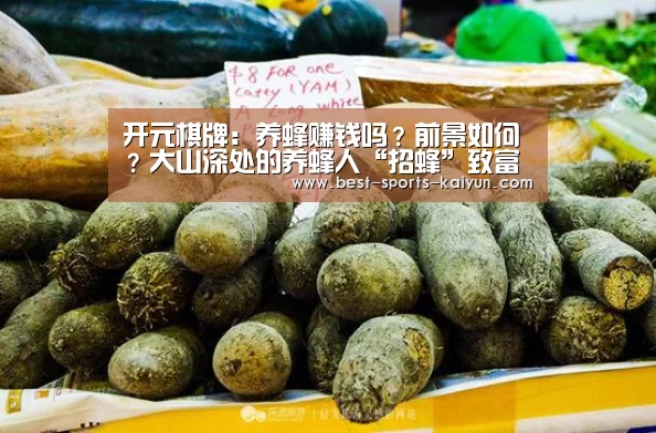 开元棋牌:养蜂赚钱吗?前景如何?大山深处的养蜂人“招蜂”致富实例(图3) 开云官网入口