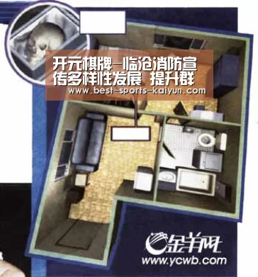 开云官网入口