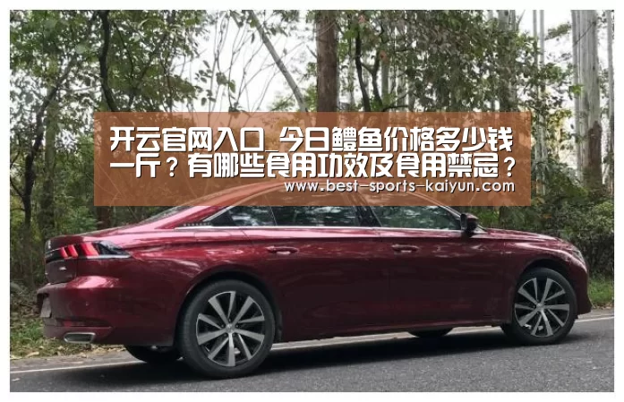 开云官网入口