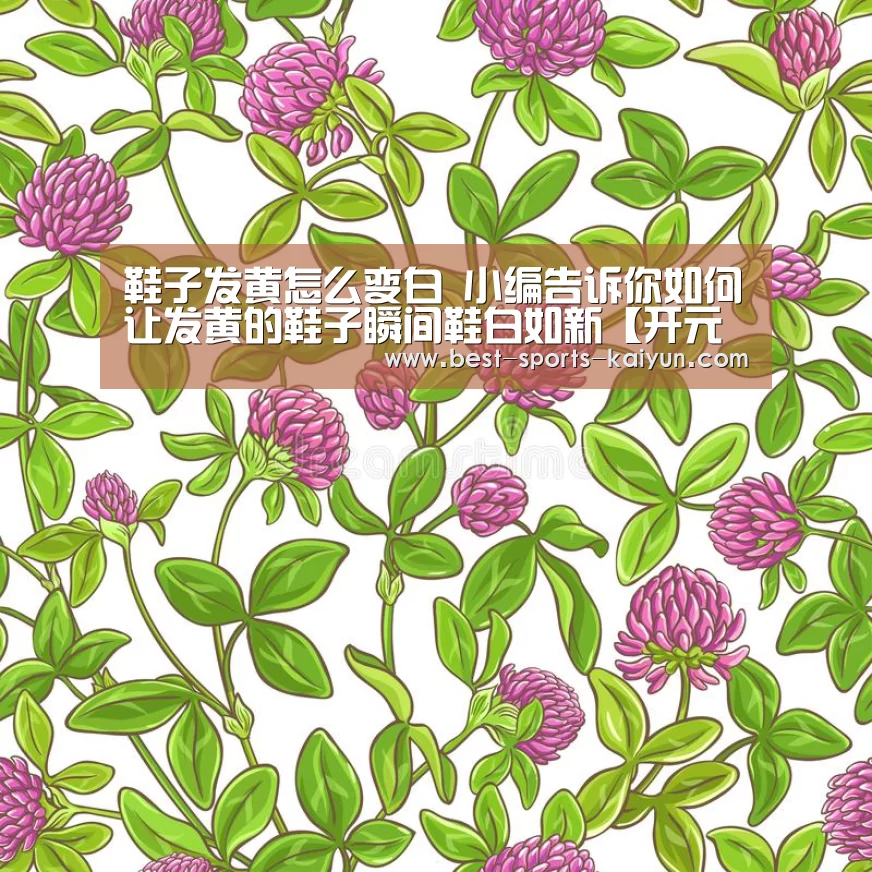 鞋子发黄怎么变白 小编告诉你如何让发黄的鞋子瞬间鞋白如新【开元棋牌官方下载】(图2) 开元棋牌官方下载