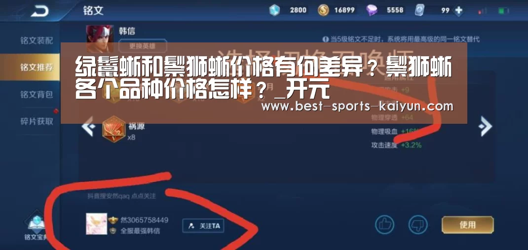 绿鬣蜥和鬃狮蜥价格有何差异?鬃狮蜥各个品种价格怎样?_开元(图2) 开元棋牌