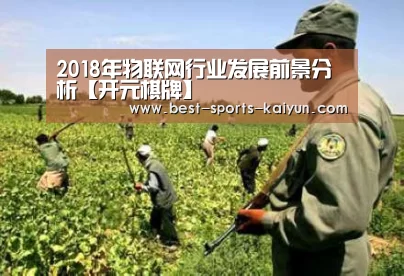 2018年物联网行业发展前景分析【开元棋牌】(图2) 开元