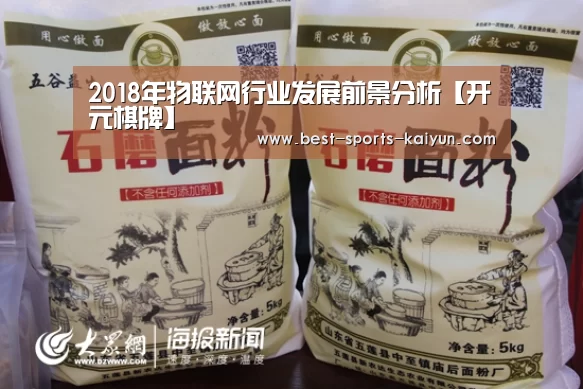 2018年物联网行业发展前景分析【开元棋牌】(图1) 开元