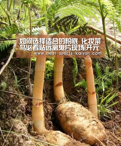 如何选择适合的粉底 化妆菜鸟必看贴远离鬼片现场|开元棋牌(图1) 开云官网入口